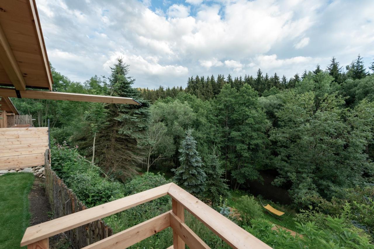Forstgut - Premium Waldchalets Und Lodge Suiten Реген Экстерьер фото