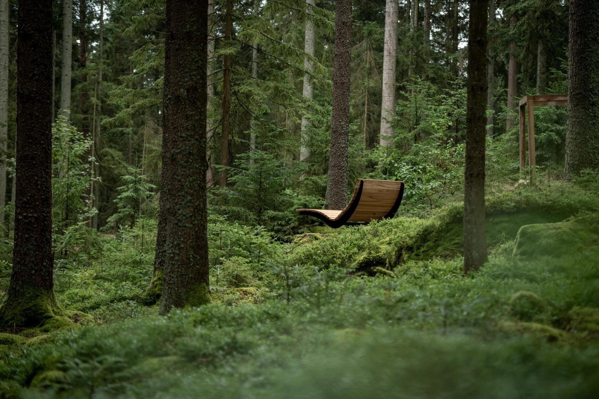 Forstgut - Premium Waldchalets Und Lodge Suiten Реген Экстерьер фото