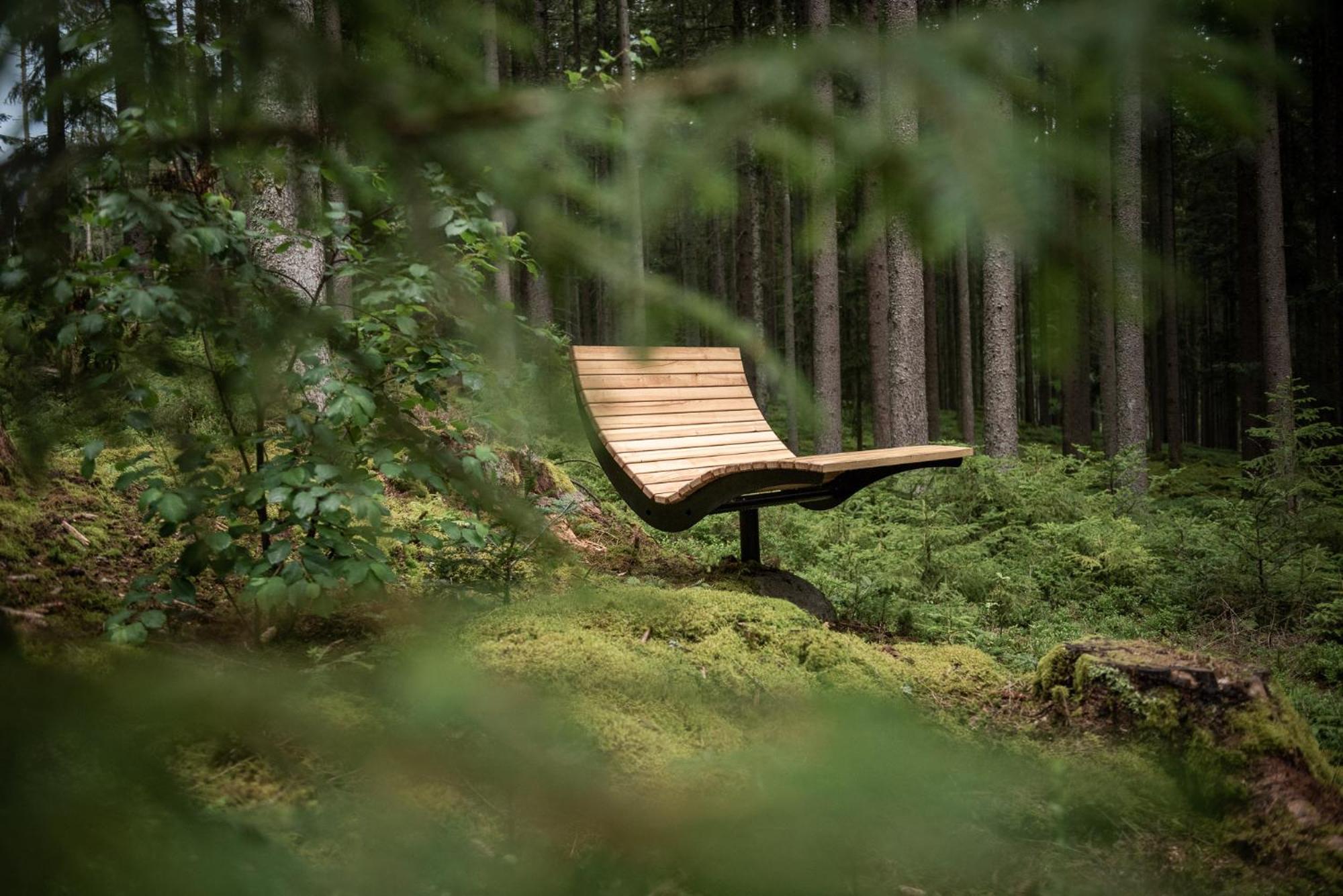 Forstgut - Premium Waldchalets Und Lodge Suiten Реген Экстерьер фото